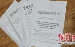 什么是单位撤销批文？项目撤销报告