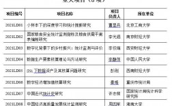 国家145规划重点项目有哪些？全国统计科学研究项目