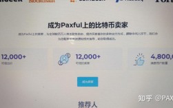 什么是p网？(p网教程)