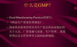 gmp提出的背景是什么？项目背景医药类