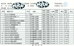 大学生期末评奖有哪些？期末评奖项目