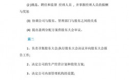 项目董事会和总经理的职权？项目董事会