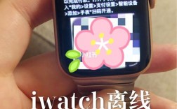 iwatch怎么离线支付？离线钱包这么使用