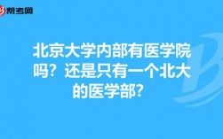 北京大学医学英语专业将来干什么？北大医疗 项目