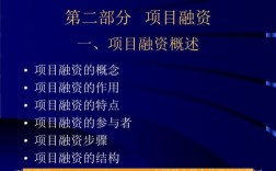 项目融资的特点是什么？融资项目特征