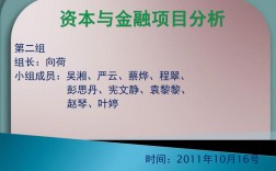 资本和金融项目是什么意思？买金融项目