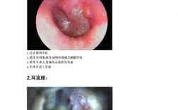 耳域哪个项目好？域 项目和集