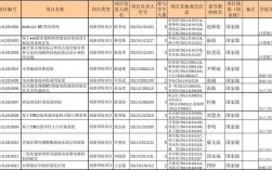 realme怎么查看内存清理白名单？清理项目信息表