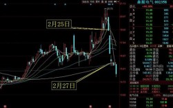 森源电气近期股价跌跌不休是中期业绩出了问题吗？公告中标项目 股价