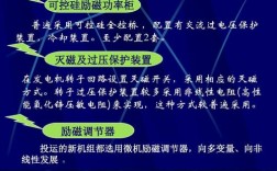 励磁阶跃试验目的？全控项目