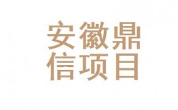 安徽鼎信项目管理股份有限公司怎么样？安徽鼎信项目