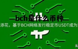 BCHC币会涨吗？比特币在线钱包 硬分叉