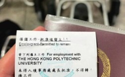 中国哪里可以办理美国人来华e-visa？美国来华项目火爆