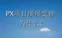 px项目是什么项目？为什么px项目