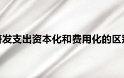 项目启动费用怎么资本化？项目资本化