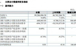 毛利和纯利？项目纯利与项目毛利