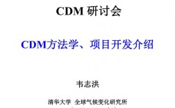 什么是CDM？cdm项目是什么意思