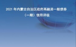 2021年内蒙古重大水利项目？内蒙化工 项目融资