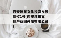 陕西文化产业（西安）投资有限公司介绍？文化产业项目投资