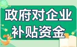 哪些企业可享受政府无偿补贴资金规定？政府补助企业项目