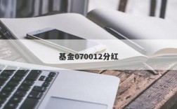 请教高手——关于基金分红的优缺点~~？分红项目的优点