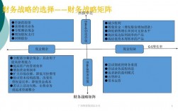 财务战略包括哪些具体的内容？财务战略类项目