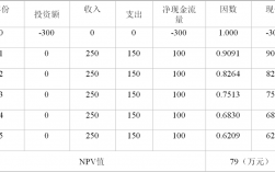 净现值的通俗解释？项目的净现值