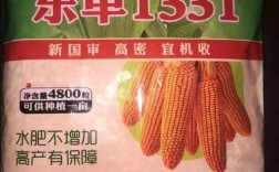 中科505与东单1331对比哪个更好？产量pk项目