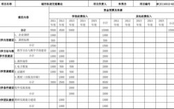 项目总投入和资金用途怎么写？经费于项目