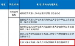 985高校的中外合作办学的利与弊？中国美国合作项目