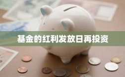 基金红利再投份额为什么不增加？政府项目  追加投资