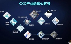 CXO和CRO的区别？cro项目指什么