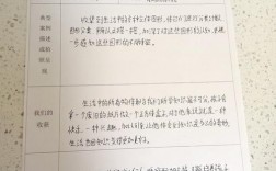 小学数学综合与实践领域的活动方式主要包括？综合实践项目什么