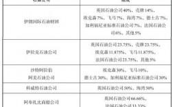 中东石油公司排名？海外石油投资项目