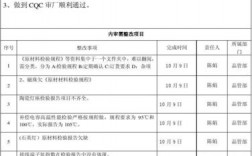 外审需要准备的资料？项目内审记录表