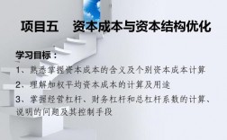 企业的资本类项目的定义是什么？成本类项目的定义？它们的区别？资本项目信息系统网址