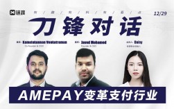 amepay是什么项目？项目投资机构