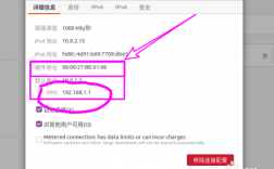 ubuntu的dns要怎么设置？(eth 220mh s)