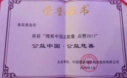 公益活动中可以荣获的奖项？公益项目成果包括