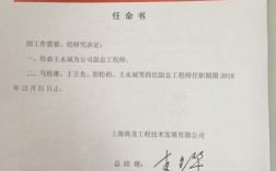 国企子公司副总经理由谁任命？项目副总任命