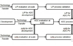 adc研发流程？adc项目