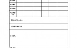 一般公司做项目风险分析怎么写？项目整体风险水平