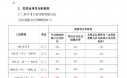 专项奖励激励方案？项目工作激励办法