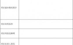 100万元项目需要立项吗？项目是否有立项