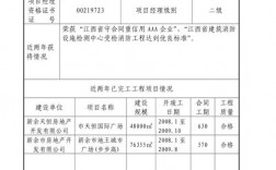 项目管理业绩怎么写？项目总经业绩