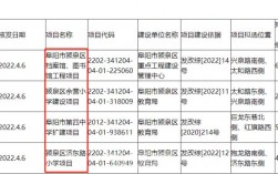 阜阳泉赋是国企吗？颍泉区项目办会计