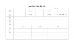 星瑞月度报告怎么弄？项目软件进展汇报