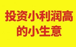 我想办一个小厂，投资10万一内，请大家指点做什么项目有前途？投资小项目100元起