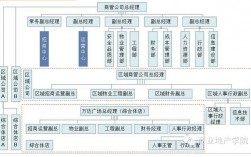 万达商管运营模式？商管项目总