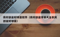 农业手工坊项目有哪些？农业订单项目